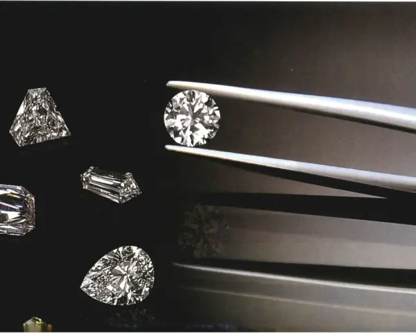 Diverse pietre preziose, tra cui diamanti, brillano su sfondo scuro. Una pinzetta tiene un diamante rotondo, mentre altri, di varie forme, sono disposti intorno.