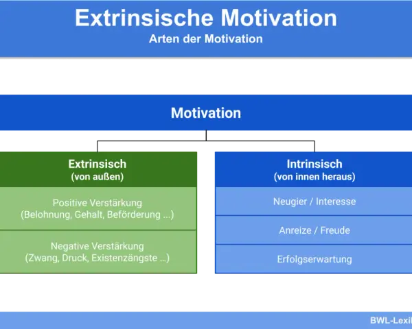 Diagramm zeigt Motivation, aufgeteilt in extrinsisch (von außen, z.B. Belohnung) und intrinsisch (von innen, z.B. Neugier).