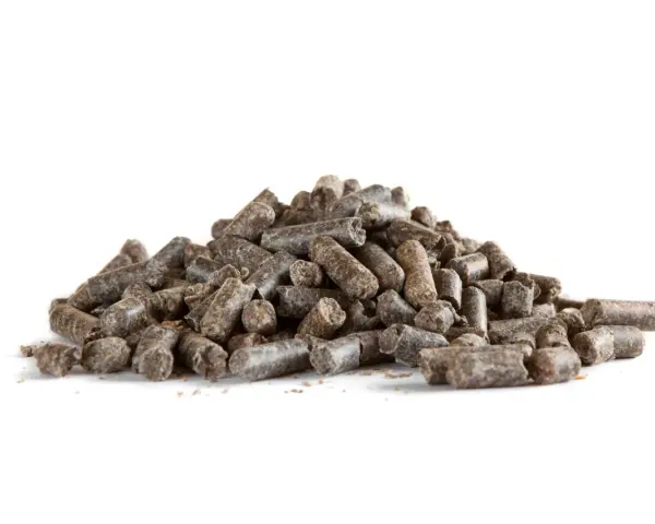 Un tas de pulpe de betterave cheval, des granulés sombres et secs, prêts à être distribués.