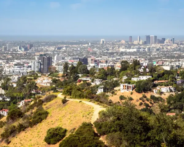 Widok na Los Angeles, miasto śmierci, z wzgórz porośniętych suchą trawą i drzewami. W oddali widać drapacze chmur.