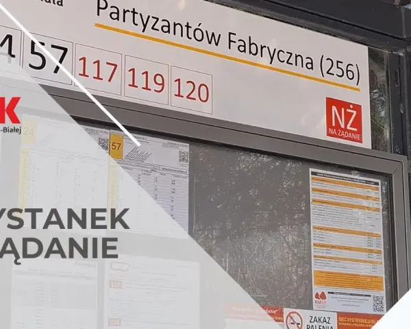 Skąd odjeżdża autobus Auchan Bielsko? Sprawdź najbliższe przystanki