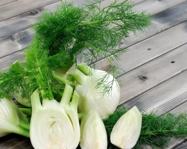 Frischer Fenchel, oft als wohltuend in der Schwangerschaft empfohlen, liegt auf einer Holzoberfläche.