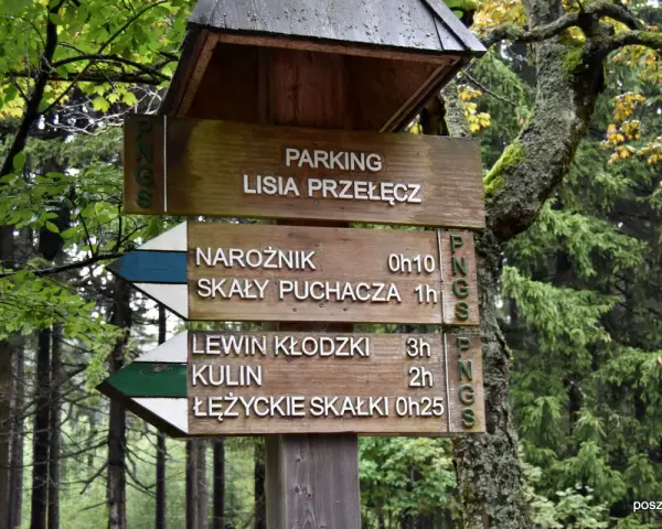 Drewniany drogowskaz na leśnej ścieżce. Wskazuje parking Lisia Przełęcz oraz kierunki do Narożnika, Skał Puchacza, Lewina Kłodzkiego, Kulin i Łężyckich Skałek.