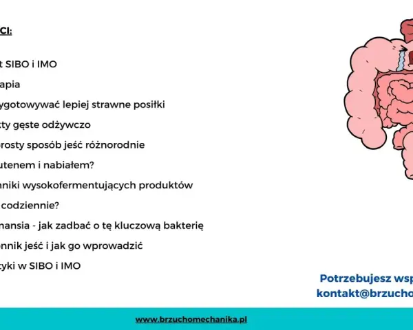 Ilustracja przedstawia jelita, które mogą być powiązane z **sibo przyczyny**. Spis treści omawia dietoterapię i sposoby radzenia sobie z problemami jelitowymi.
