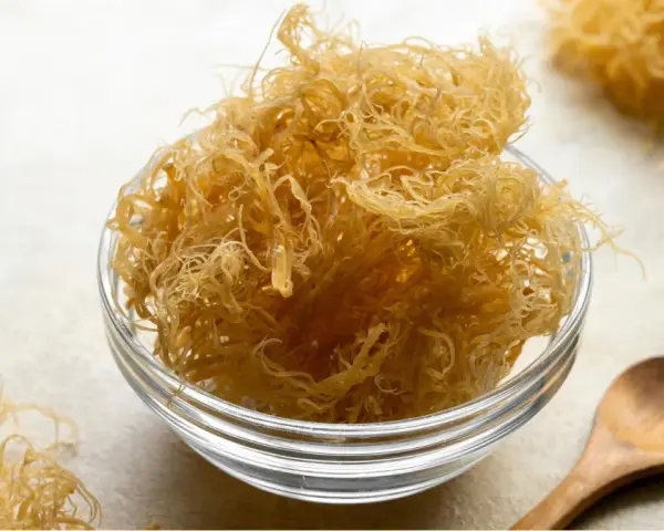Un bol en verre rempli de **irish moss** séché, ressemblant à des fils fins et dorés. Une cuillère en bois repose à côté.
