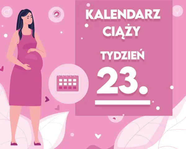 Kobieta w 23 tygodniu ciąży, z brzuszkiem. Obok kalendarz i napis "Kaledarz ciąży tydzień 23".
