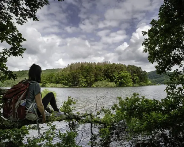 Une randonnée dans le Morvan, une pause sur une branche surplombant le lac. Paysage verdoyant sous un ciel nuageux.
