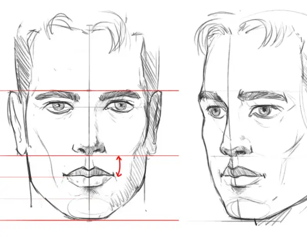 Dessin visage garçon, étude des proportions faciales avec lignes directrices et mesures.