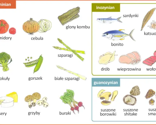 Ilustracja pokazuje produkty bogate w glutaminian, inozynian i guanozynian, które nadają potrawom smak umami.