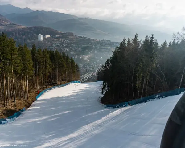 Szczawnica na narty 2026: PKL Palenica, ceny, trasy czy warto?