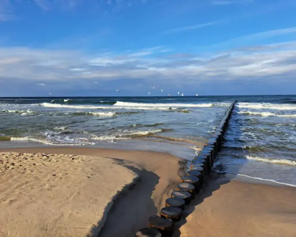 Pociągiem nad morze! Piękny dzień, fale rozbijają się o brzeg, a mewy szybują na błękitnym niebie.