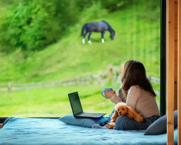 Femme avec un chien et un ordinateur portable, regardant un cheval brouter dans un champ verdoyant. La réglementation cheval sur terrain privé est une préoccupation.