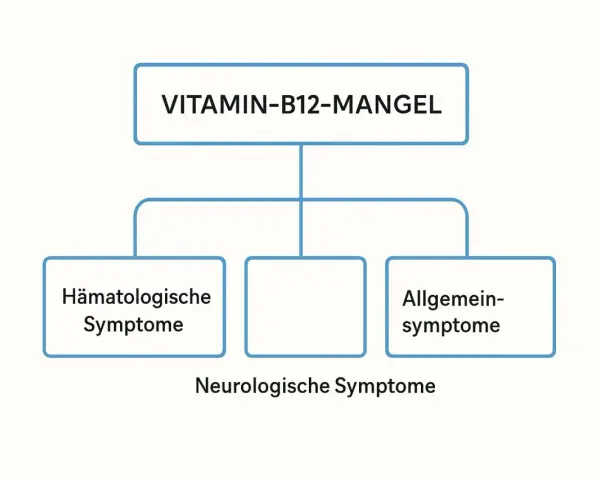 Schéma illustrant les symptômes d'une carence en vitamine B12 : hématologiques, neurologiques et généraux.