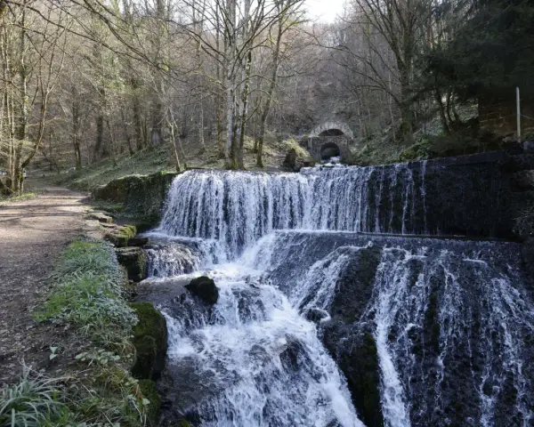 Cascade d'eau dans une forêt, un chemin de terre longe la rivière. Au fond, un tunnel voûté suggère une source d'arcier.
