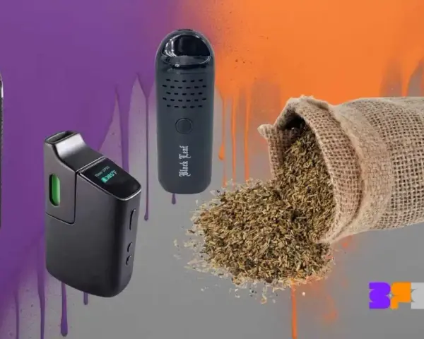 Tres vaper pequeños y una bolsa de hierbas secas, listos para disfrutar.
