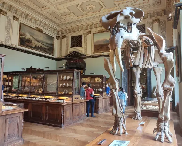 Szkielet mamuta w muzeum historii naturalnej wiedeń. W gablotach minerały i skamieniałości.
