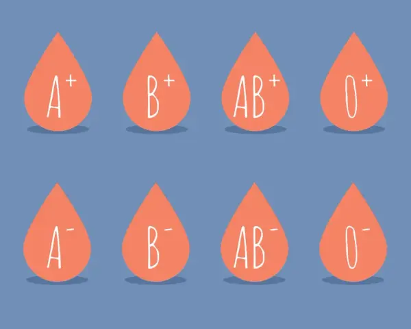 Krople krwi z oznaczeniami grup: A+, B+, AB+, 0+, A-, B-, AB-, 0-. Każda kropla ma swój unikalny rh.
