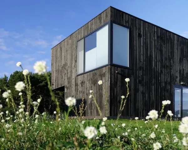 Maison moderne au bardage en bois noir, résultat d'un traitement bois brulé, entourée de fleurs blanches et d'arbres.