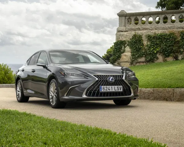 Elegancki, ciemnoszary Lexus 300h na tle kamiennego muru porośniętego bluszczem i zielonej trawy.