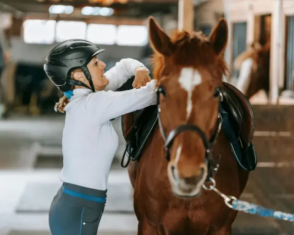 Une cavalière ajuste la selle de son cheval dans une **structure équestre**.