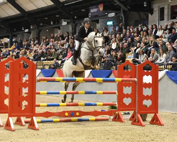 Un cheval blanc, un véritable con air etalon, saute une barrière colorée sous les regards d'une foule attentive.