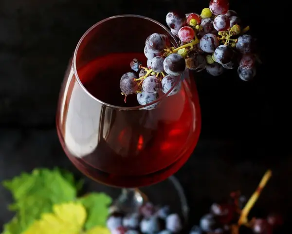 Kieliszek czerwonego wina z winogronami. Czy alkohol jest zdrowy? To pytanie, na które odpowiedź nie jest prosta.