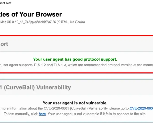 Browser test shows good protocol support, with TLS 1.2 and 1.3 enabled, and no CVE-2020-0601 vulnerability.