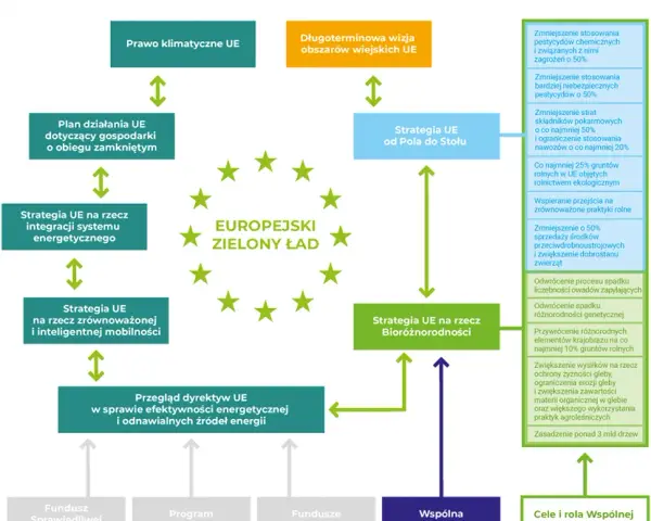 Co to jest zielony ład i jak wpłynie na przyszłość Europy?