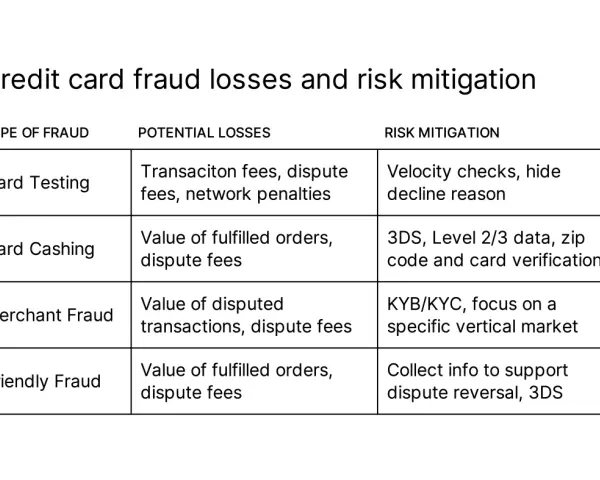 Table detailing credit card fraud types, potential losses, and risk mitigation strategies for business credit card fraud protection.