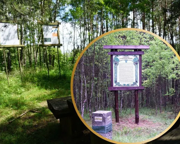 Tablica informacyjna o Czarnej Górze w Kujawsko-Pomorskiem, otoczona lasem.