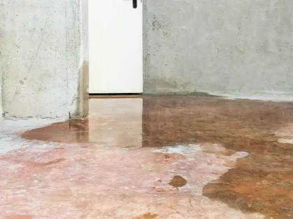 Sótano a estudio de arte: ¿Cómo vencer humedad y falta de luz?