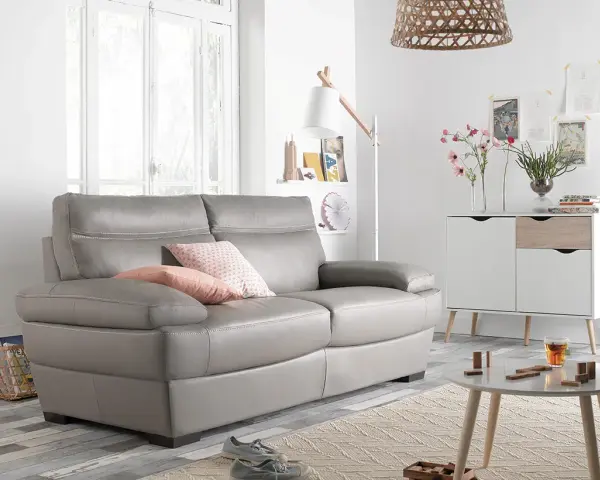 Un salon moderne avec un canapé gris confortable, des coussins roses et un petit tapis. Un meuble blanc et bois, une table basse et une plante verte complètent la scène.