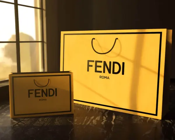 Due borse Fendi Roma, una grande e una piccola, illuminate dalla luce del sole che filtra da una finestra.