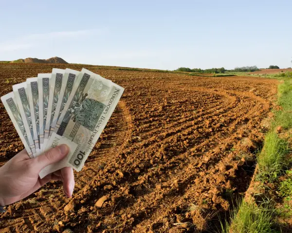 Dłoń trzyma banknoty 100 zł na tle zaoranego pola. Zastanawiasz się, ile kosztuje ar ziemi rolnej?