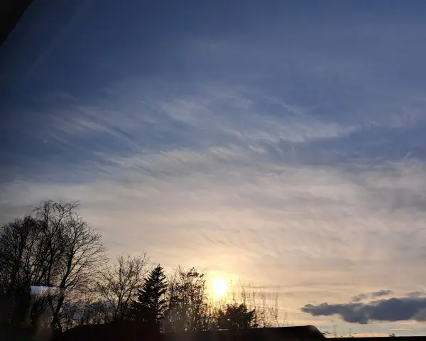 Sonnenuntergang mit zarten Wolken, die wie Pinselstriche wirken. Bäume im Vordergrund, die an Psalm 147,3 erinnern: "Er heilt, die zerbrochenen Herzens sind, und verbindet ihre Wunden.