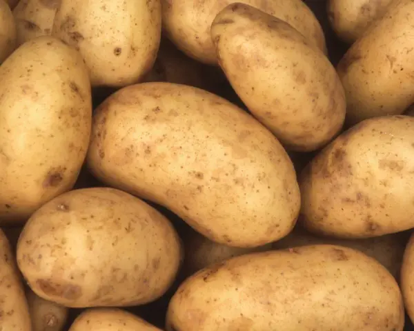 Un montón de patatas amarillas con manchas marrones. Descubre el patata valor nutricional 100g.