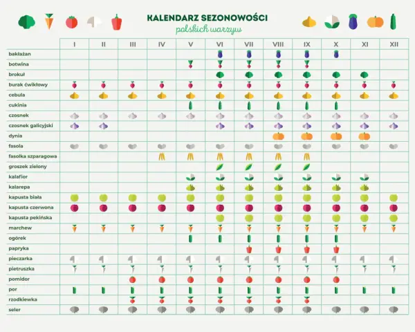 Kiedy jest sezon na groszek? Sprawdź, by nie przegapić świeżych zbiorów