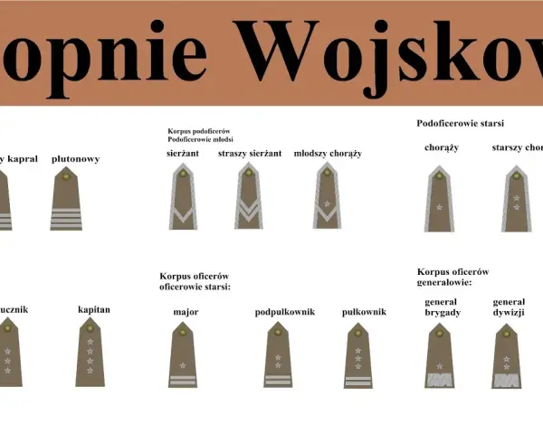 Podporucznik po studiach: Twoja ścieżka kariery oficerskiej
