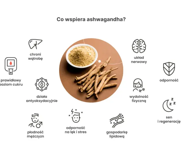 Ashwagandha wspiera układ nerwowy, odporność, płodność, sen i regenerację. Kiedy brać? Warto rozważyć dla poprawy samopoczucia.