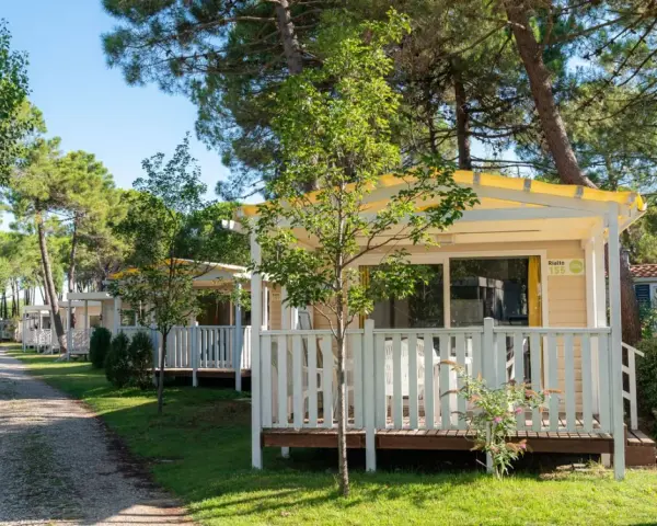 Uroczy camping Rialto z domkami letniskowymi w otoczeniu drzew.