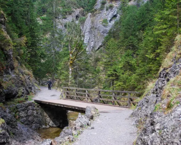 Spacer wędruje przez Dolinę Białego, mijając drewniany mostek nad strumieniem.