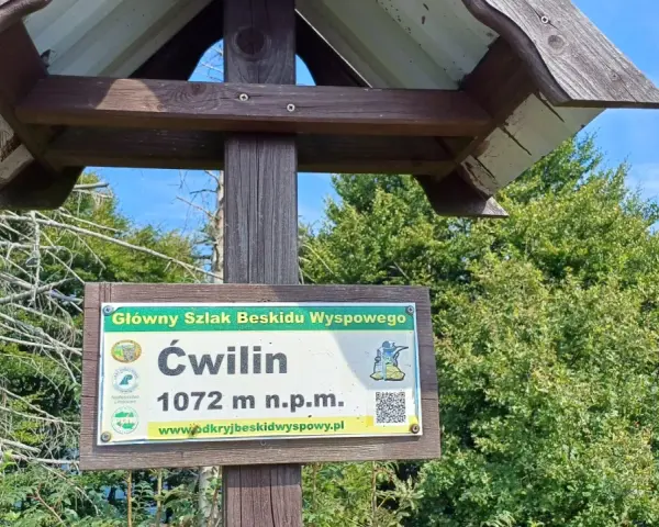 Tablica na szlaku Głównym Beskidu Wyspowego informuje o szczycie Ćwilin (1072 m n.p.m.).