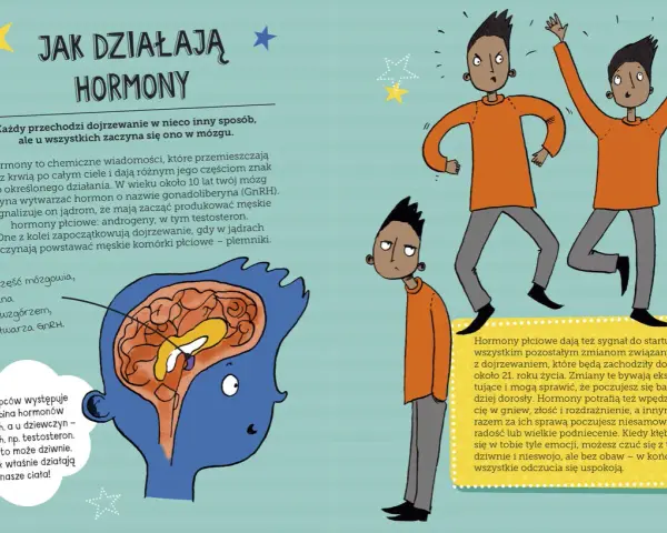 Ilustracja przedstawia etapy dojrzewania u chłopców, pokazując mózg i chłopców reagujących na hormony.