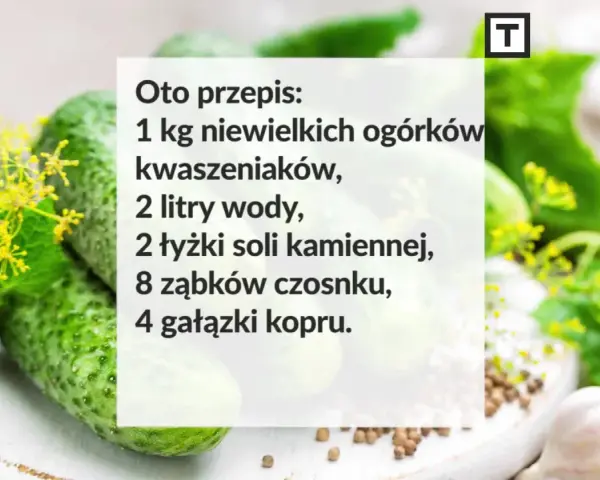 Przepis na kiszone ogórki: 1 kg ogórków, 2 litry wody, sól, czosnek i koper. Idealne do słoików!