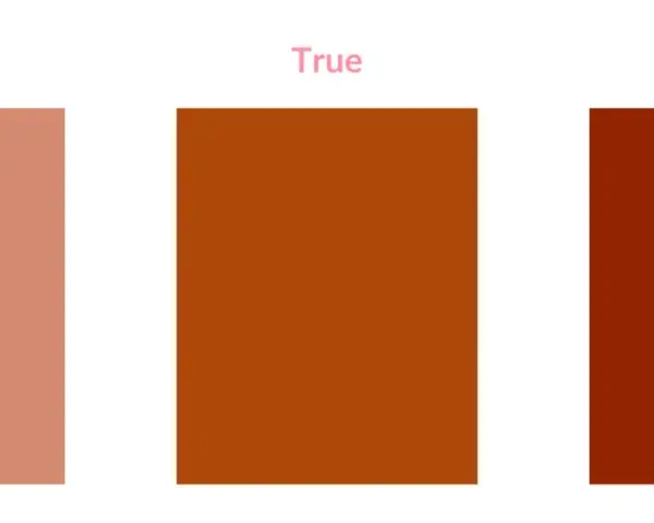 Paleta de colores de otoño: suave, verdadera y profunda. Tonos cálidos que evocan la naturaleza en su máximo esplendor.