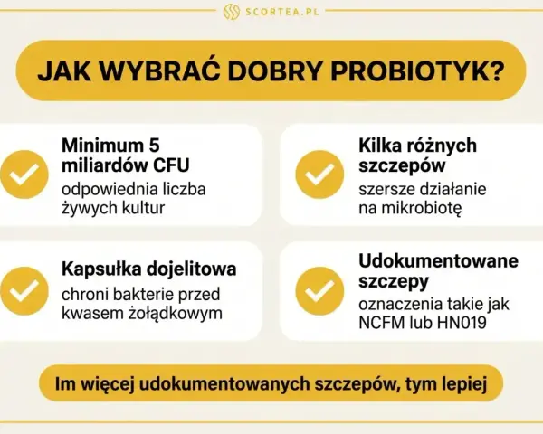 Jak wybrać dobry probiotyk dla dzieci? Minimum 5 miliardów CFU, kilka szczepów, kapsułka dojelitowa i udokumentowane szczepy to klucz do zdrowia.