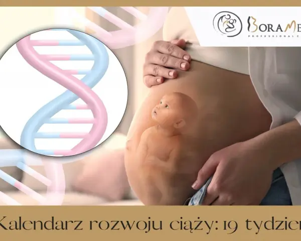 Wizualizacja rozwoju dziecka w 19 tygodniu ciąży, z symbolem DNA.