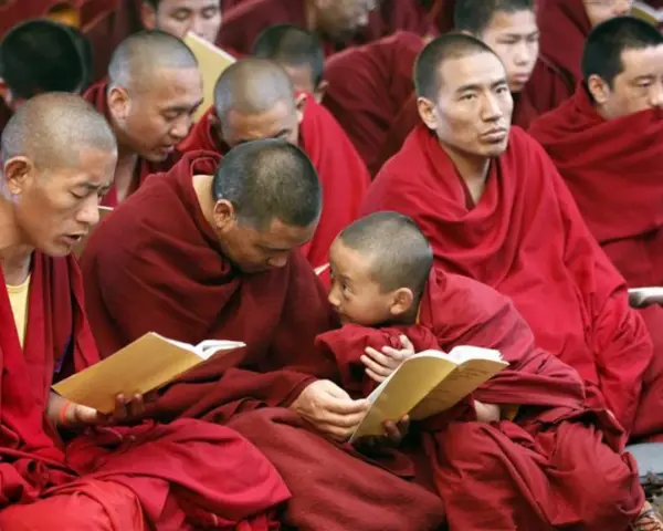 Monks in red robes study texts. Their peaceful lives, dedicated to learning, make one wonder how long do monks live.