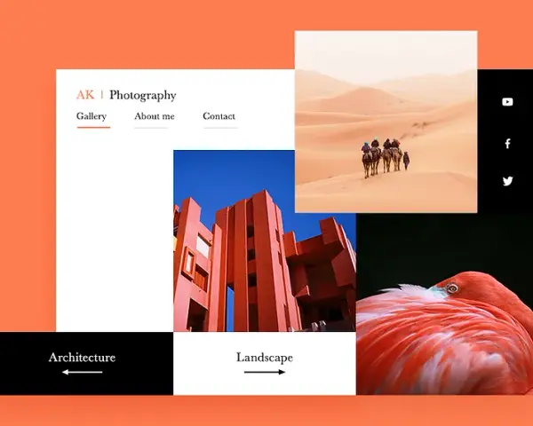 Jak powinno wyglądać portfolio fotografa, aby przyciągnąć klientów