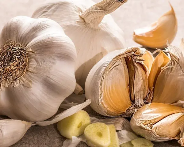 Mehrere Knoblauchzehen und ganze Knoblauchköpfe liegen auf einer hellen Oberfläche. Tipps zur Lagerung von Knoblauch.